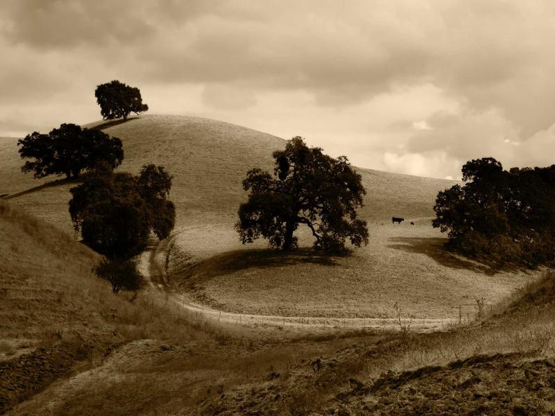 sudoku forcing chains screenshot 2