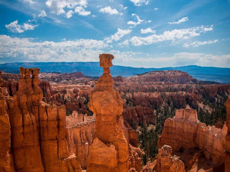 sudoku forcing chains screenshot 4